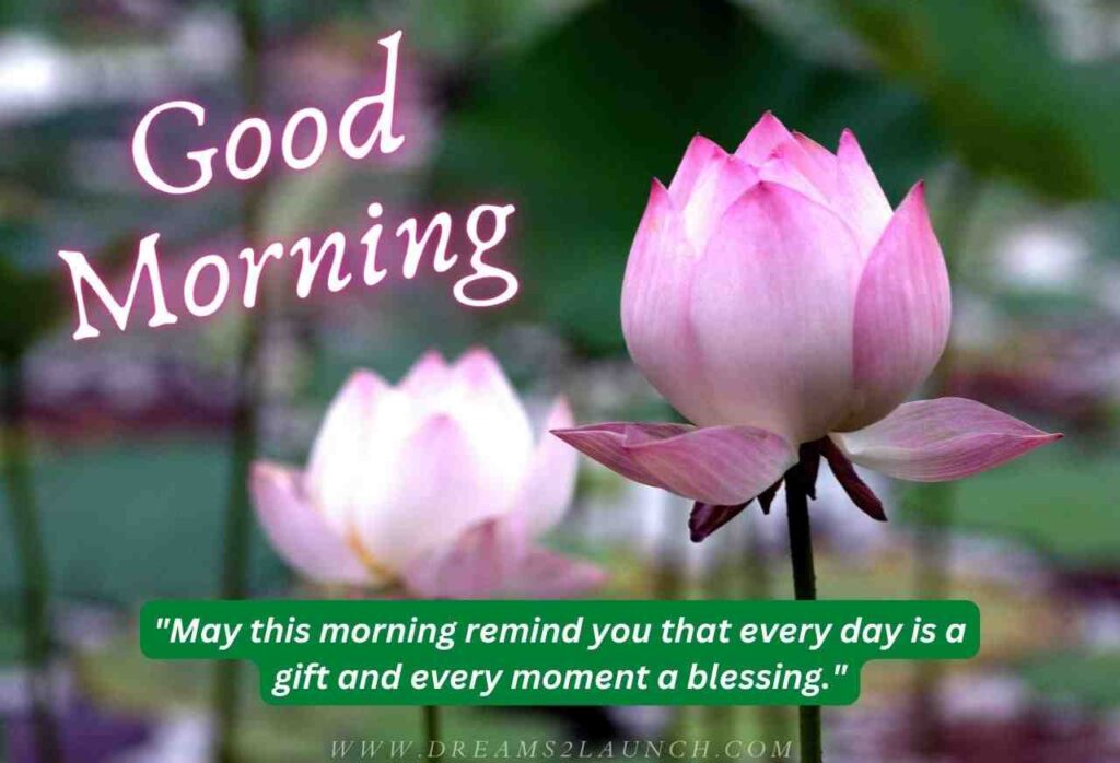 good morning blessings everyone
