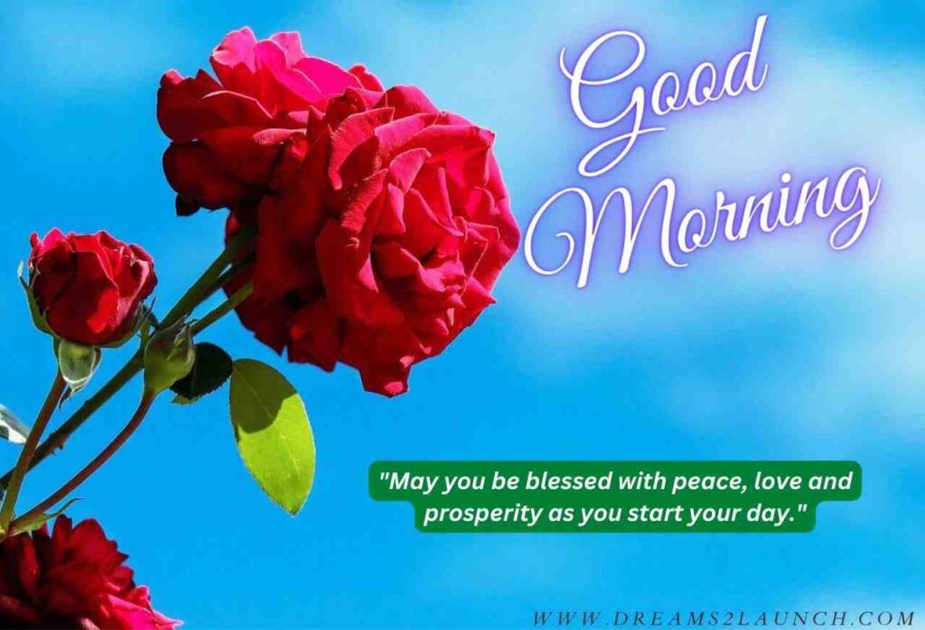 good morning god bless you and your family
