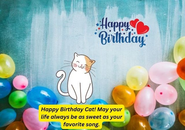 happy birthday wishes cat card