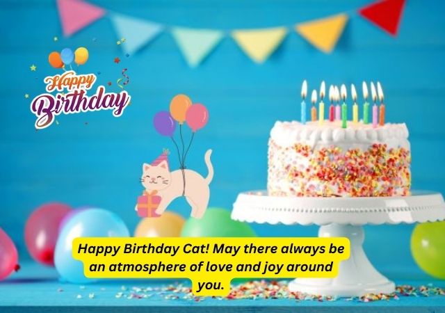 happy birthday wishes cat card