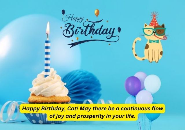 birthday cat wishes