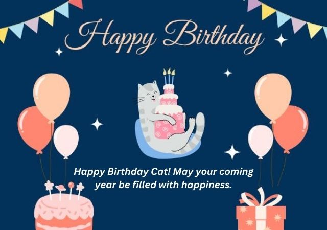 happy birthday wishes cat lover