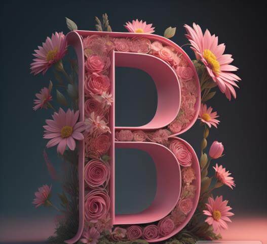 b name letter dp